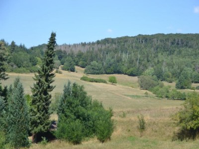 Apartment Wohnung in Frankenberg für Radfahrer mit WollBox - Environment photo 38