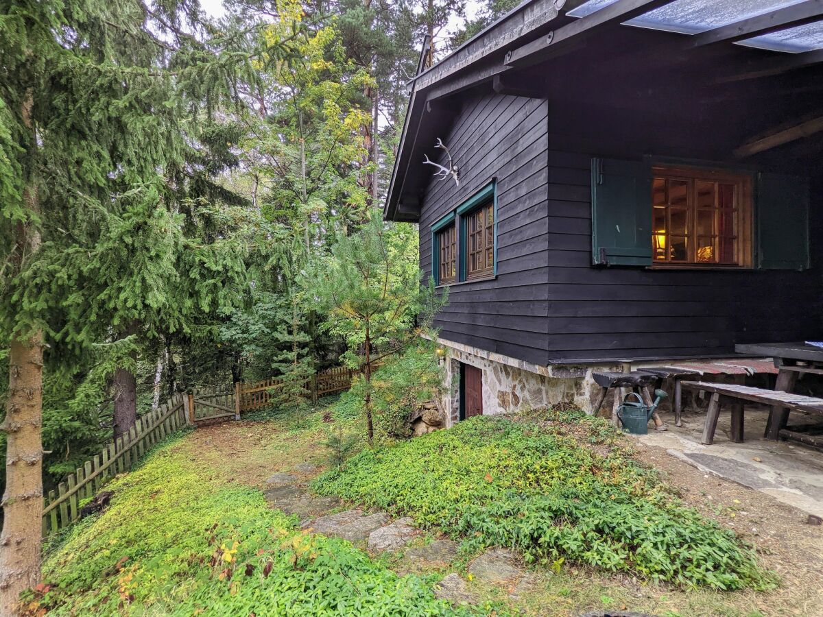 Holiday house Holiday Home in Edlitz near Ski Slopes - Outdoor photo 4