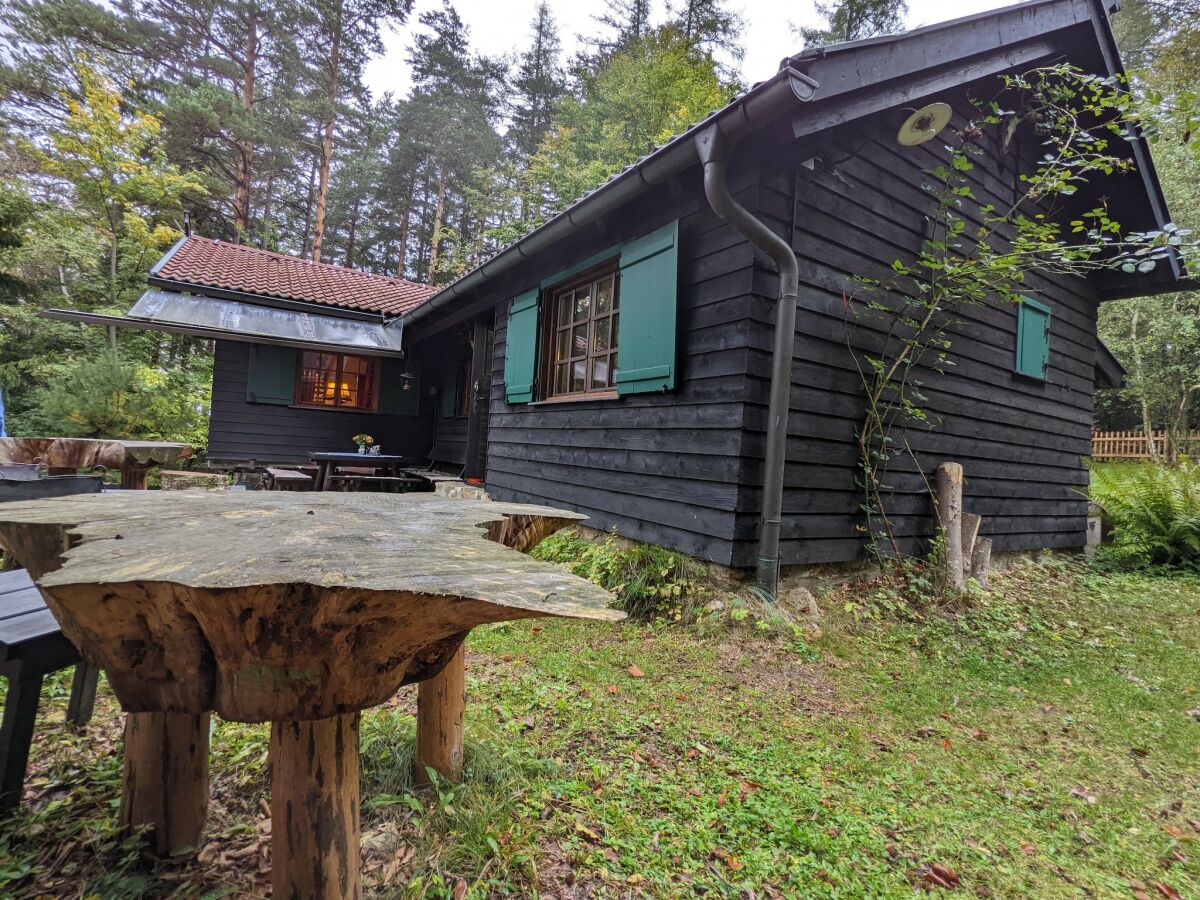 Holiday house Holiday Home in Edlitz near Ski Slopes - Outdoor photo 5