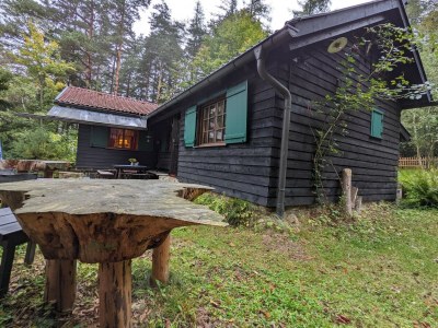 Holiday house Holiday Home in Edlitz near Ski Slopes - Outdoor photo 5