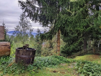Holiday house Holiday Home in Edlitz near Ski Slopes - Outdoor photo 6