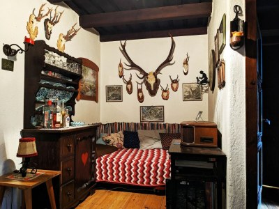 Holiday house Holiday Home in Edlitz near Ski Slopes - Features photo 8