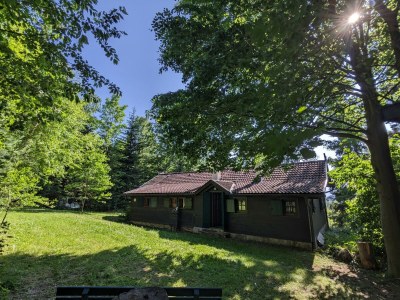 Holiday house Holiday Home in Edlitz near Ski Slopes - Environment photo 33