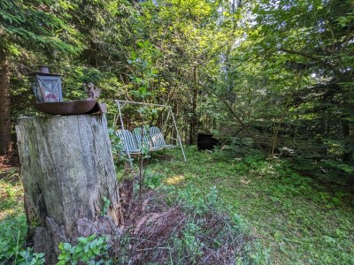 Holiday house Holiday Home in Edlitz near Ski Slopes - Outdoor photo 36