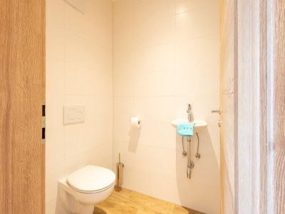 Apartment Apartment in Piesendorf near Ski Slopes - Features photo 11