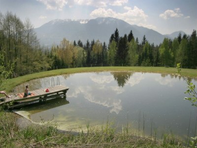 Apartment Apartment in Bleiburg near Petzen Ski Area - Outdoor photo 15