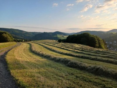 Holiday house Ferienhaus mit Terrasse im Skigebiet - Environment photo 20