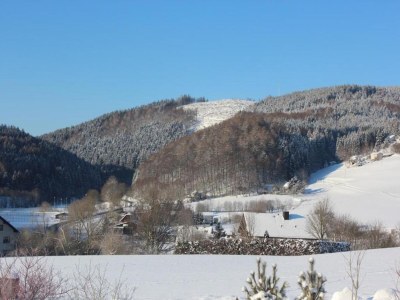 Holiday house Ferienhaus mit Terrasse im Skigebiet - Environment photo 31