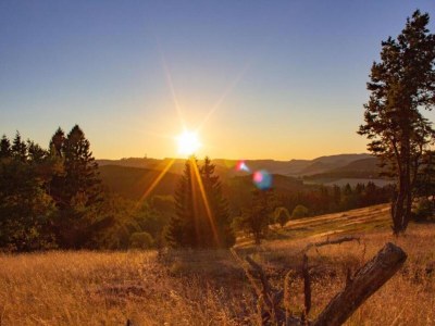 Holiday house Ferienhaus mit Terrasse im Skigebiet - Environment photo 33