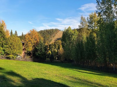 Holiday house Ferienhaus mit Terrasse im Skigebiet - Environment photo 35
