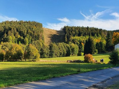 Holiday house Ferienhaus mit Terrasse im Skigebiet - Environment photo 36