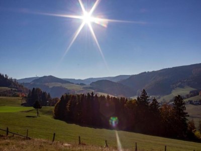 Holiday house Ferienhaus mit Terrasse im Skigebiet - Environment photo 37