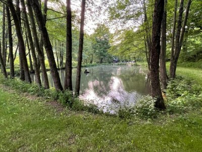 Holiday house Ferienhaus mit Terrasse im Skigebiet - Environment photo 40