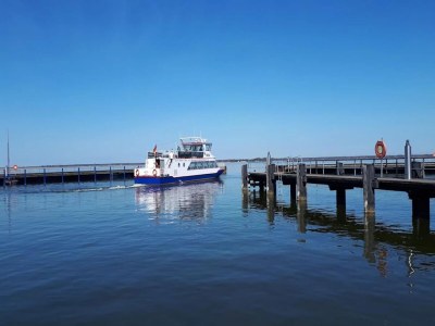 Holiday house Luxushaus Bodden mit Sauna - Environment photo 18