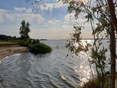 Holiday house Luxushaus Boddenküste mit Lagune und Sauna - Environment photo 26