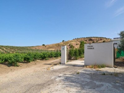 Apartment Wohnung in Montilla nahe Palacio Medinaceli - Environment photo 18