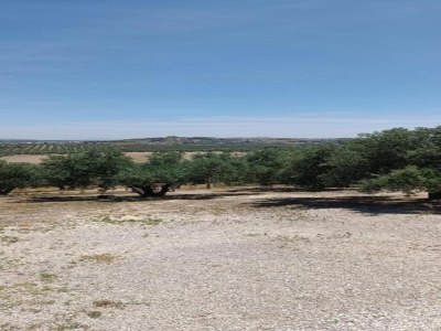 Apartment Wohnung in Montilla nahe Palacio Medinaceli - Environment photo 19