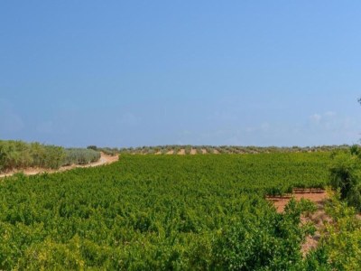 Apartment Wohnung in Montilla nahe Palacio Medinaceli - Environment photo 22