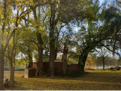 Apartment Wohnung in Montilla nahe Palacio Medinaceli - Environment photo 23
