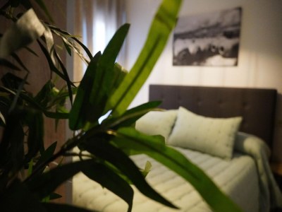 Apartment Wohnung in Montilla nahe Palacio Medinaceli - Outdoor photo 29