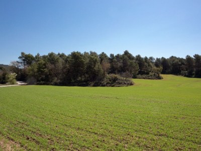 Holiday house Belvilla by OYO Can Casellas MasoverÃ­a - Environment photo 27