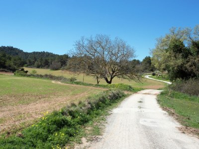 Holiday house Belvilla by OYO Can Casellas MasoverÃ­a - Environment photo 28