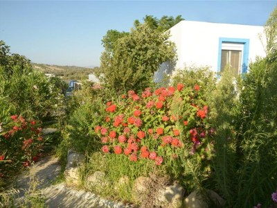 Villa Anna and Alex - Environment photo 28