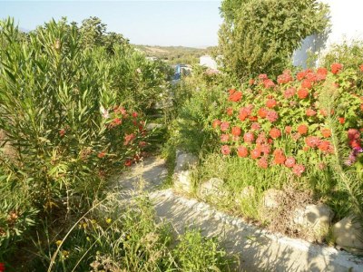 Villa Anna and Alex - Environment photo 29