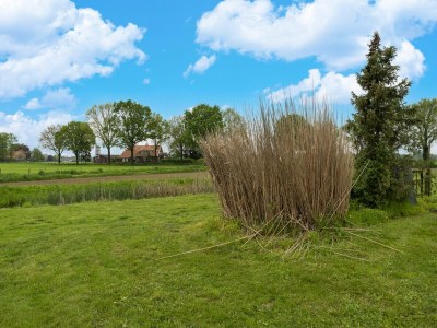 Holiday house Komfortables Ferienhaus in Voorst mit großem Garten - Outdoor photo 6