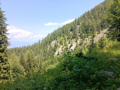 Holiday house Karawanken Holiday Home - Environment photo 22