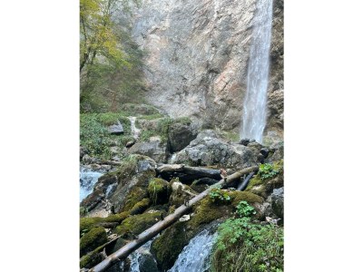 Holiday house Karawanken Holiday Home - Environment photo 24