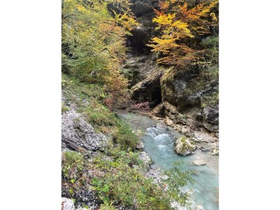 Holiday house Karawanken Holiday Home - Environment photo 25