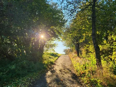 Apartment Sonnige Wohnung in Bad Driburg mit Garten - Environment photo 38