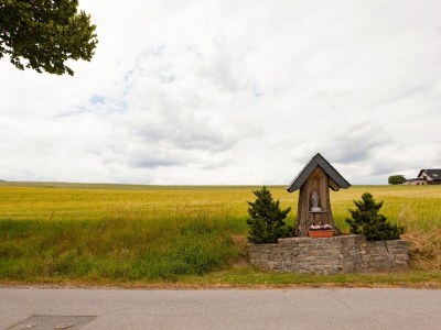 Apartment Sonnige Wohnung in Bad Driburg mit Garten - Environment photo 45