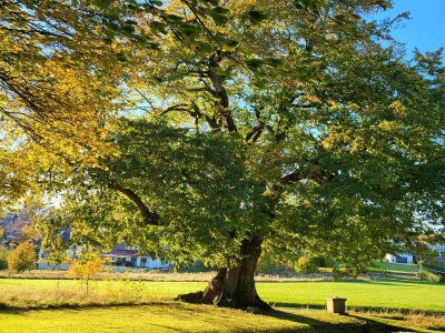 Apartment Sonnige Wohnung in Bad Driburg mit Garten - Environment photo 46