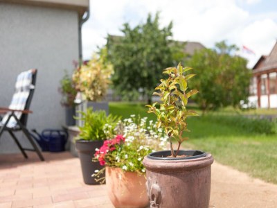 Apartment Sonnige Wohnung in Bad Driburg mit Garten - Outdoor photo 48