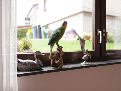 Apartment Sonnige Wohnung in Bad Driburg mit Garten - Outdoor photo 51