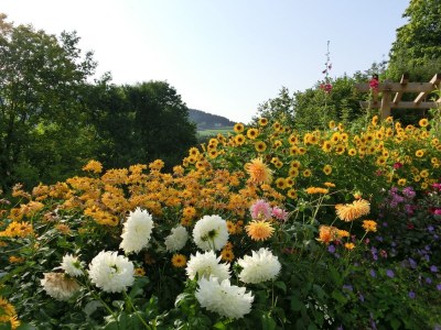 Apartment Geraeumige Wohnung für 5 Personen in Drachselsried - Outdoor photo 9
