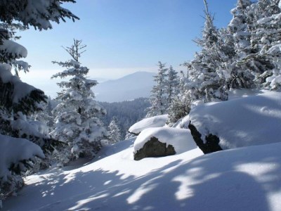 Apartment Geraeumige Wohnung für 5 Personen in Drachselsried - Environment photo 21