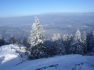 Apartment Geraeumige Wohnung für 5 Personen in Drachselsried - Environment photo 25
