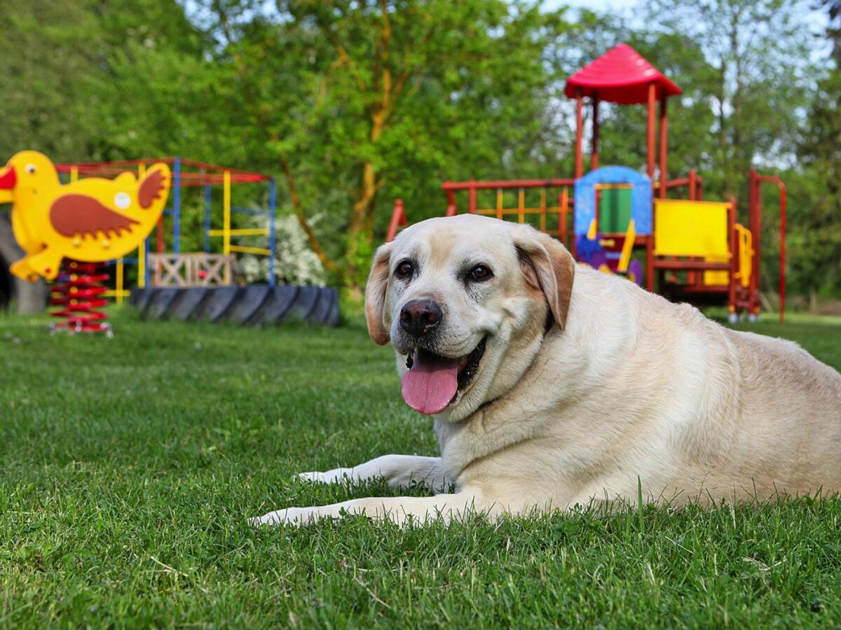 Holiday house Ferienhäuser am Kummerower See, Verchen - Outdoor photo 2