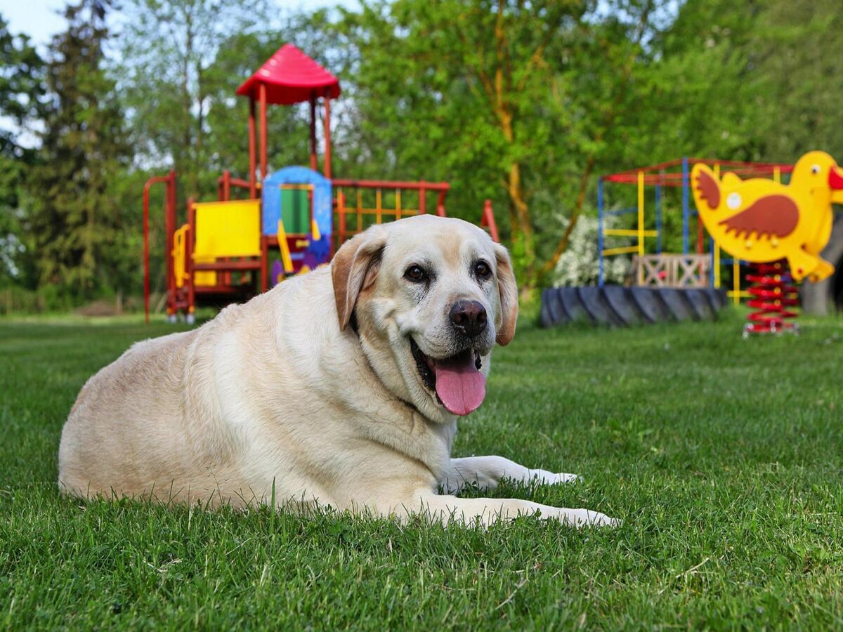Holiday house Ferienhäuser am Kummerower See, Verchen - Outdoor photo 4