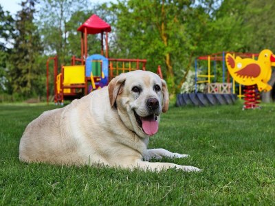 Holiday house Ferienhäuser am Kummerower See, Verchen - Outdoor photo 4