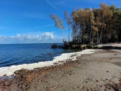 Holiday house Ferienhaus, Fuhlendorf - Environment photo 22