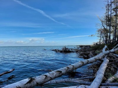Holiday house Luxushaus Boddenküste mit Sauna - Environment photo 22