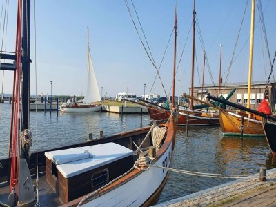 Holiday house Luxushaus Boddenküste mit Sauna - Environment photo 13