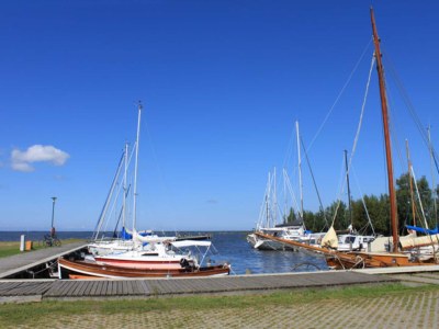 Holiday house Luxushaus Boddenküste mit Sauna - Environment photo 14