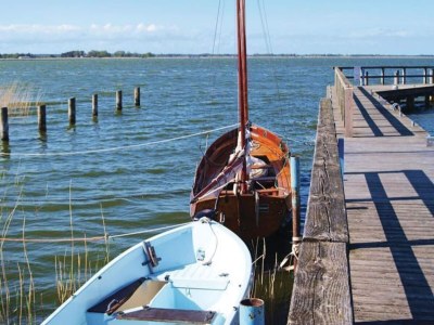 Holiday house Luxushaus Boddenküste mit Sauna - Environment photo 16