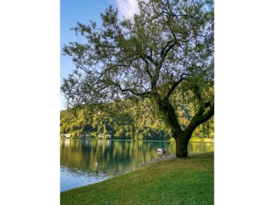 Apartment Casa Alberta - One bedroom - Outdoor photo 6