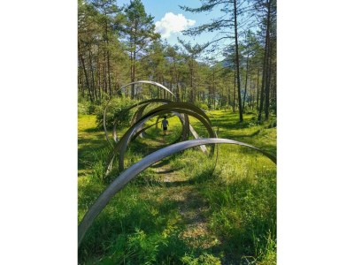 Apartment Casa Alberta - Two bedrooms groundfloor - Outdoor photo 9